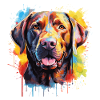 Labrador
