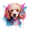 chien caniche
