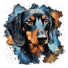 chien teckel