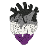 LGBT Heart | Asexual