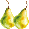 Bulb 2
