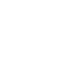 kung fu fighter weiss