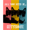 Kittens (colour)