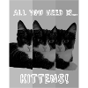 Chatons