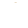 Bock auf Tischtennis