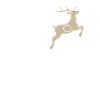 Futur Chasseur Comme Papa