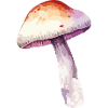 mushroom