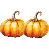 gourds