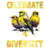 Songbirds Celebrate Diversity Canaries