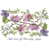 Orchids Print