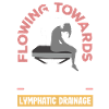Flowing Towards Wellness Embrace Lymphatic