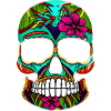 Skill Mexiko