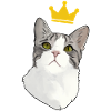 Mortier King