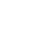 Scout mit Kompass