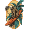 Surfing Sloth