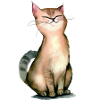 Cat proud of itself