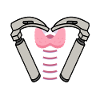 Anesthesiologist Anesthesiology