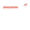 Hunde Deutsch Drahthaar Hundebesitzer