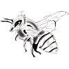 La petite abeille