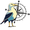 Seagull with compass