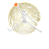 Funny Halloween Lover Skeleton Basketball