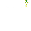 Jamaika