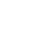 Poney Shetland Shetlandpony