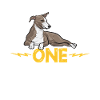 Italian Greyhound Greyhound Dogs