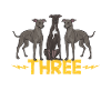 Lévrier italien Greyhound Chiens
