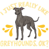 Lévrier italien Greyhound Chiens