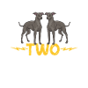 Lévrier italien Greyhound Chiens