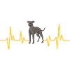 Italian Greyhound Greyhound Dogs