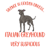 Italian Greyhound Greyhound Dogs
