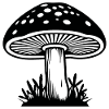 Mushroom Mushroom Picker Mushrooms Fungi