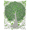 Baum
