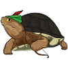 Schildkröte Bogenschütze Bogen