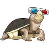 Turtle Glasses
