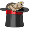 Turtle Wizard Cylinder