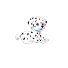 Gifts for Dalmatian Lovers