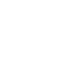 Cheval d’évolution équestre