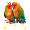 Lovebird Whisperer Bird Lover