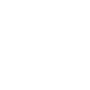 Care Manager