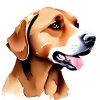 Charming Cocoa Canine