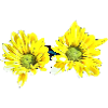 Flower #01