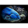 Animals #03