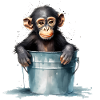Monkey seeks cooling