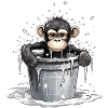 Monkey seeks cooling