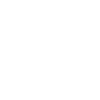 New York Bronx Souvenir