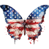 BUTTERFLY AMERICAN FLAG