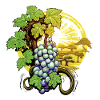 Grappe de raisin au soleil